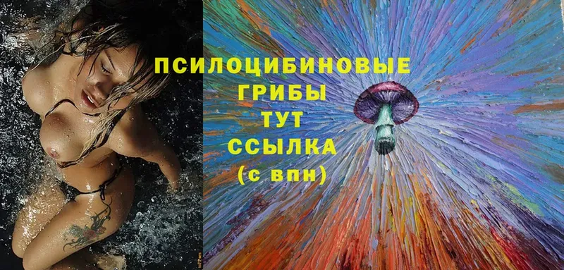 площадка телеграм  Ковылкино  Галлюциногенные грибы Psilocybine cubensis  купить закладку 